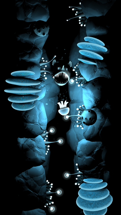 Seashine screenshot 5