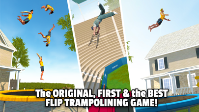 Flip Master screenshot 23