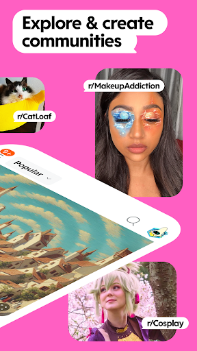 Reddit screenshot 8