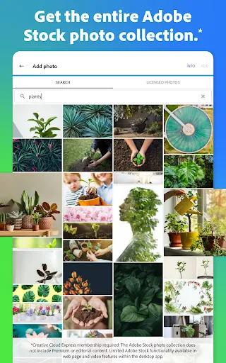 Adobe Express screenshot 29