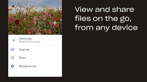Dropbox: Cloud & Photo Storage screenshot 22
